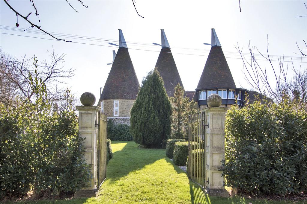 View From The Garden