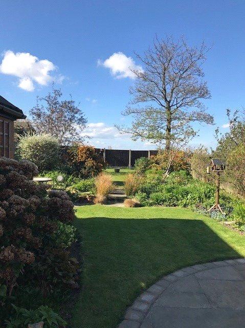 Garden Shot 5