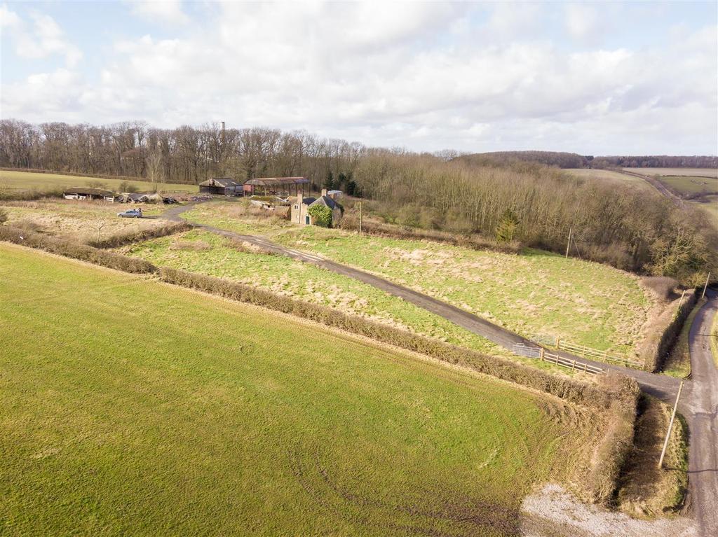 DJI 0080.jpg