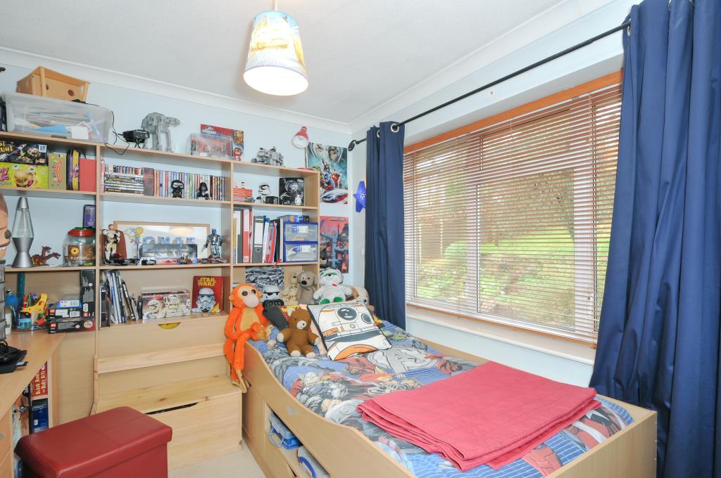 Photos