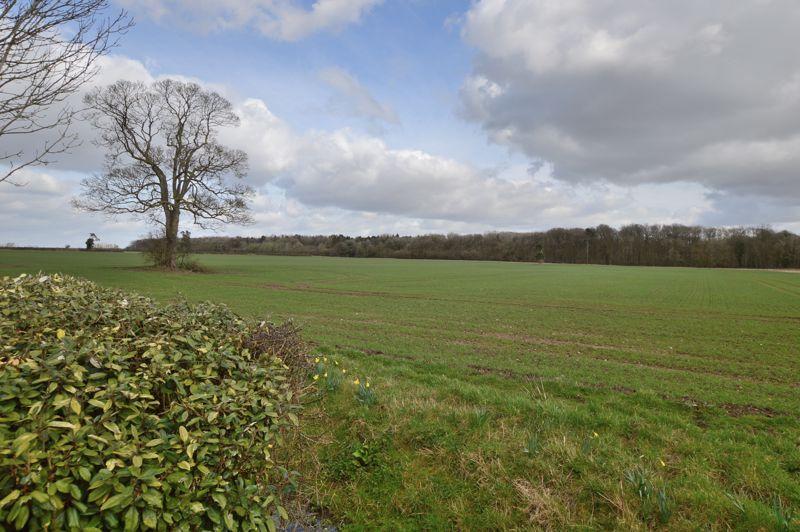 Countryside Views