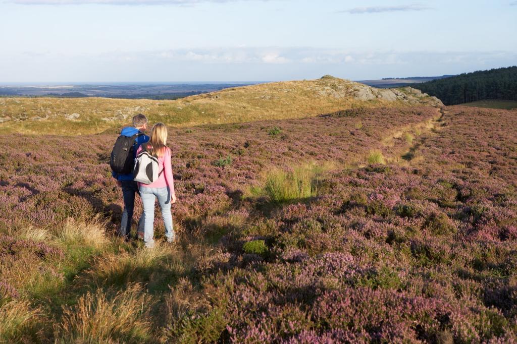 Moorland