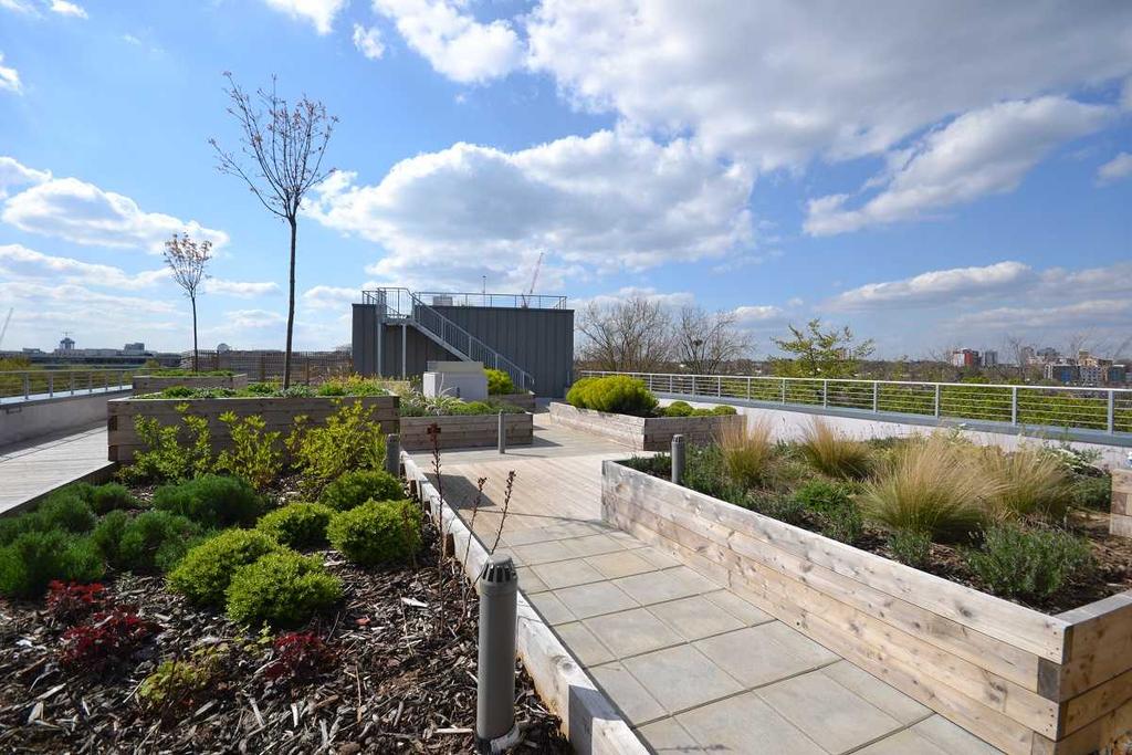 Roof Terrace View
