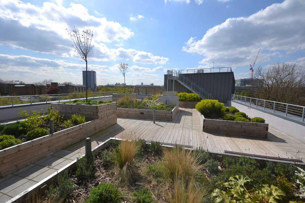 Roof Terrace View