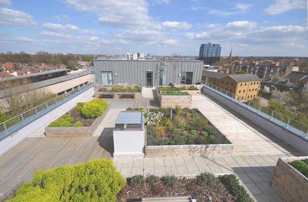 Roof Terrace View