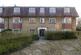 Picture No. 11