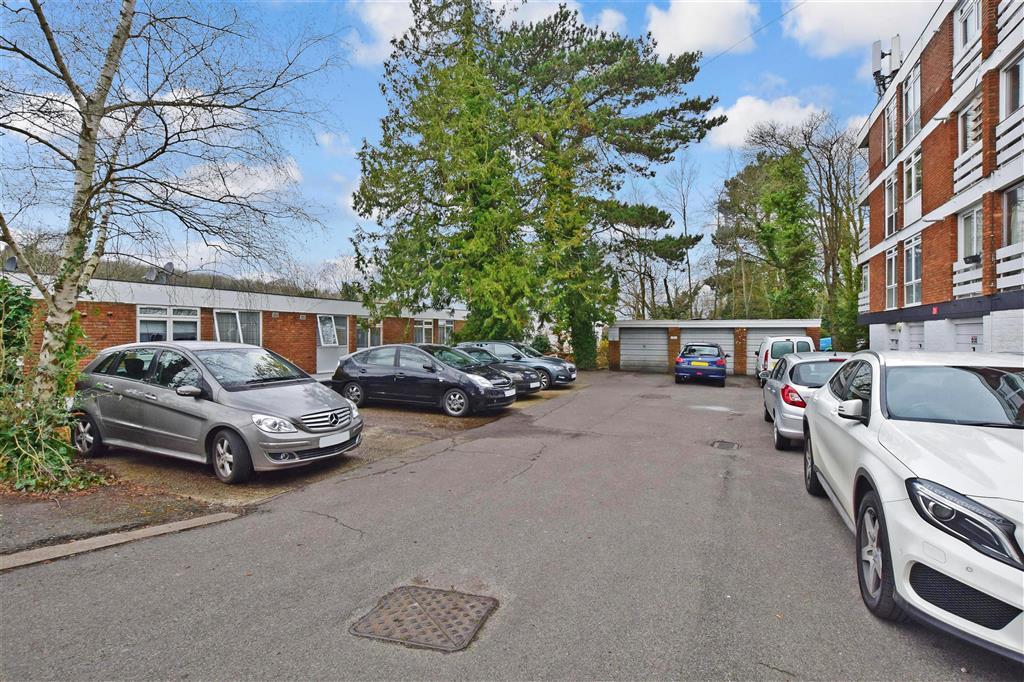 Driveway/Parking