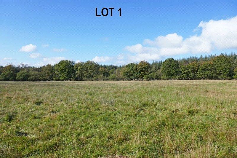 Optional Land