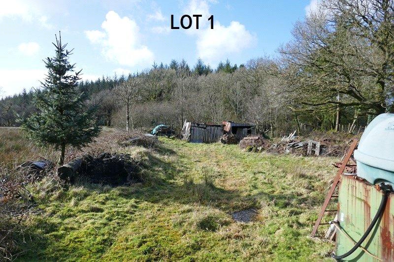 Optional Land