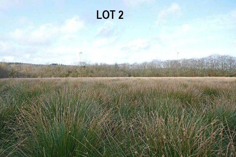 Optional Land