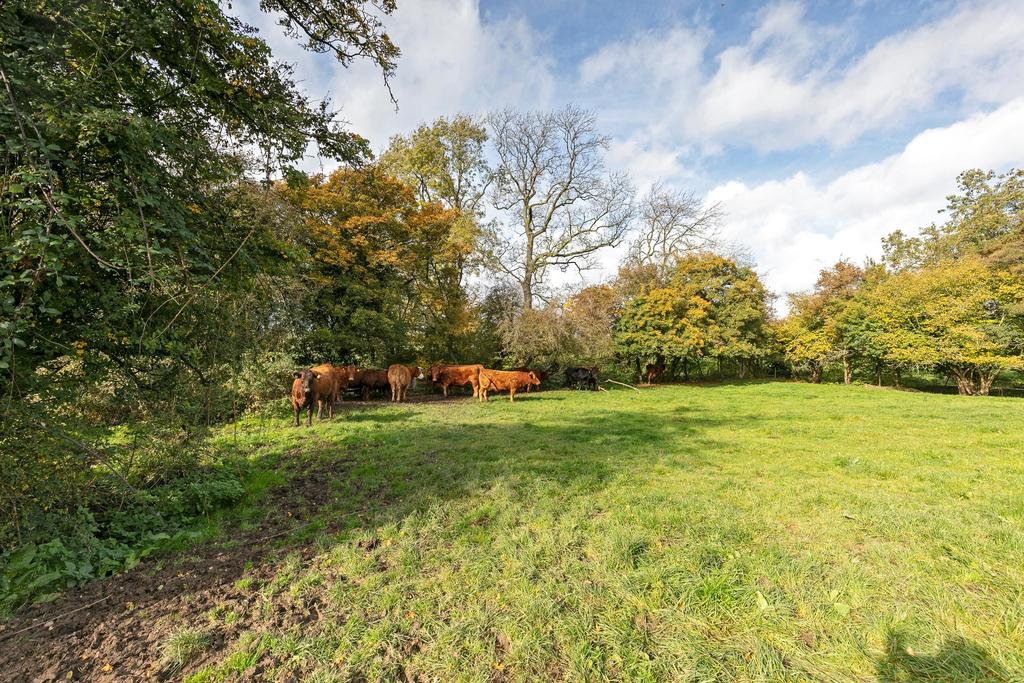 Spernal Lane, Spernal, Studley... Land