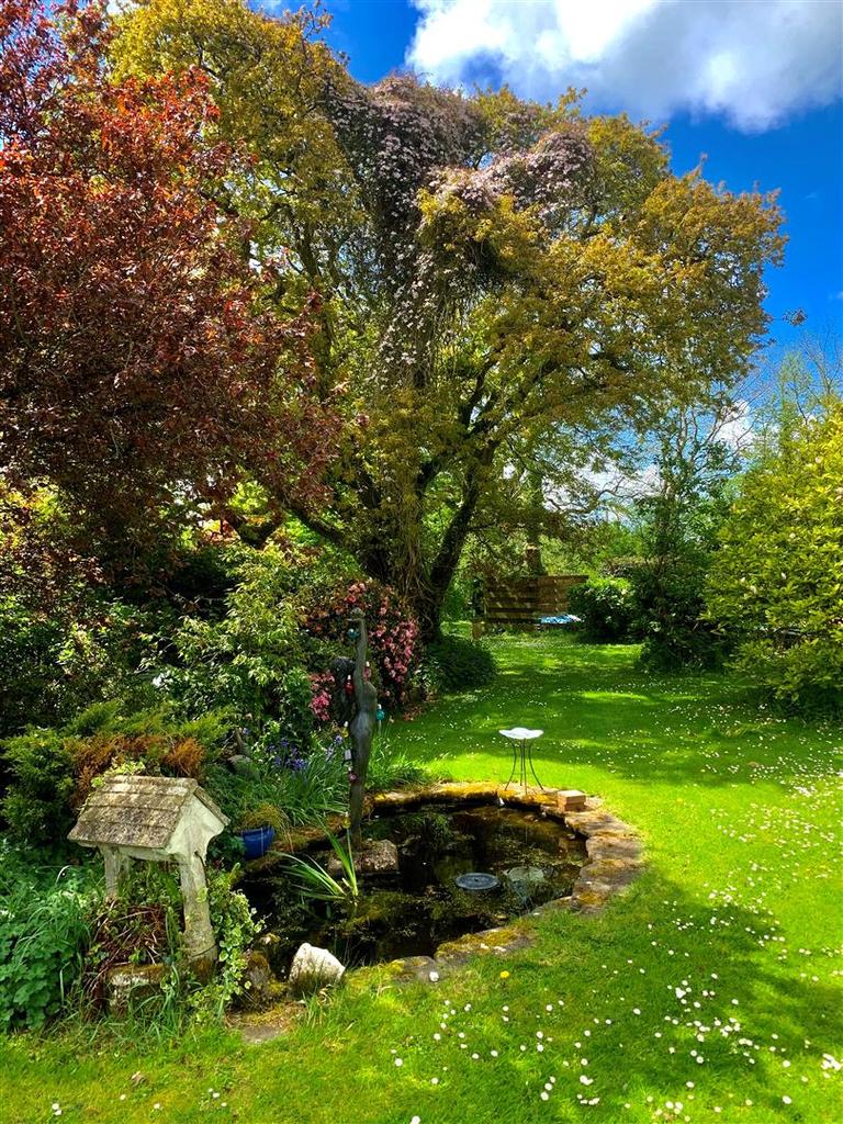 Garden.jpg