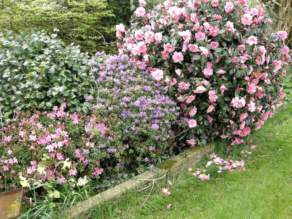 Dscn4846.jpg