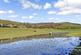 Scenery 3