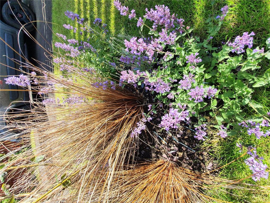 Gardens: