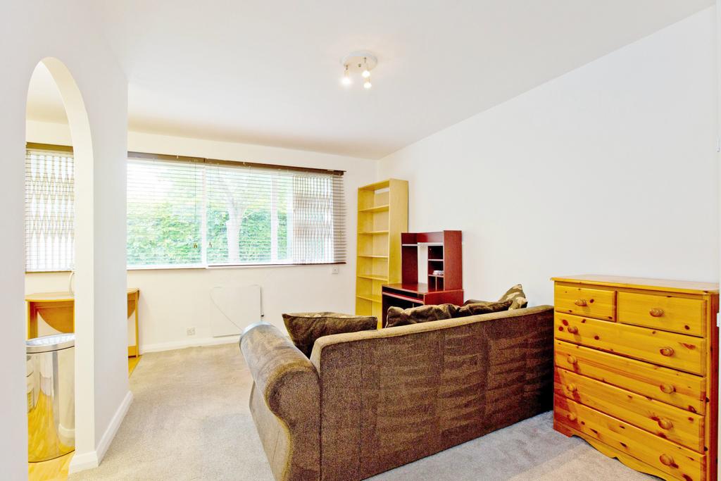 Large Studio Apartment in the heart of Belsize Pa