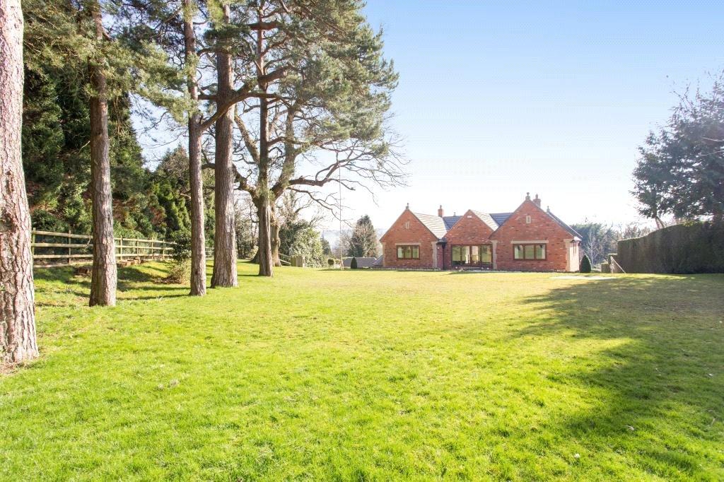 Picture 19