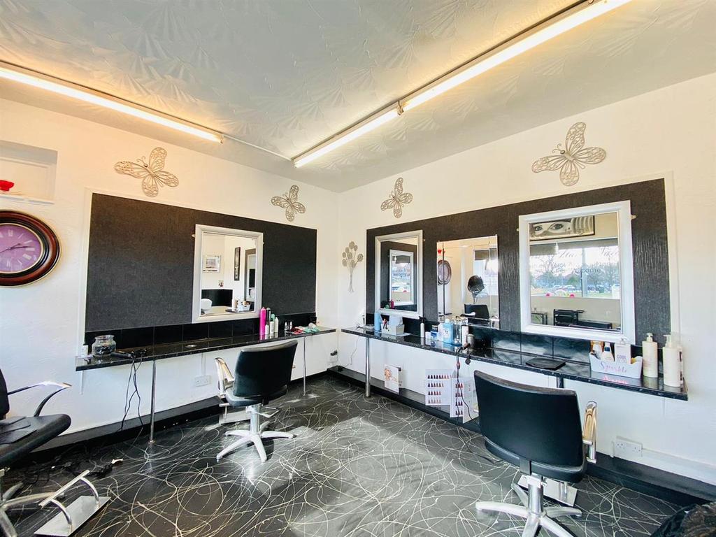 Main Salon Area