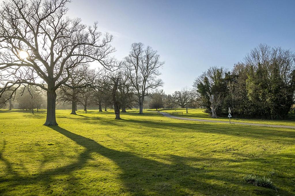 Parkland View