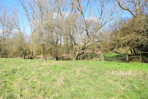 Land for sale - Woodland at Shamley Green