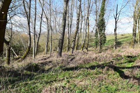 Land for sale - Woodland at Shamley Green