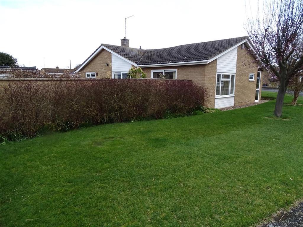 Rear Elevation B