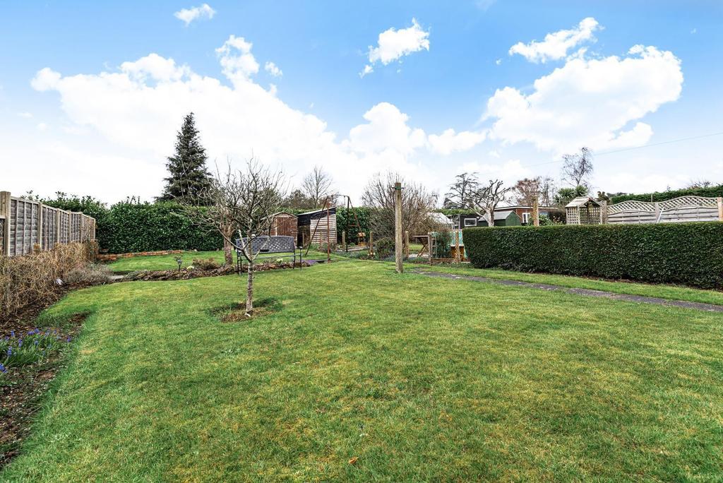 Back garden