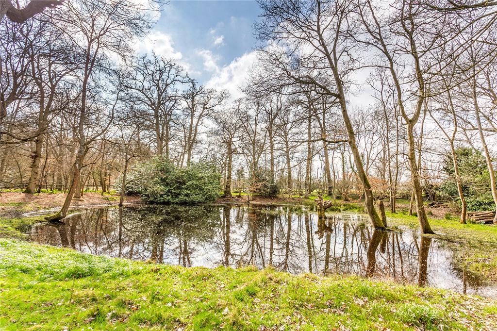 Pond