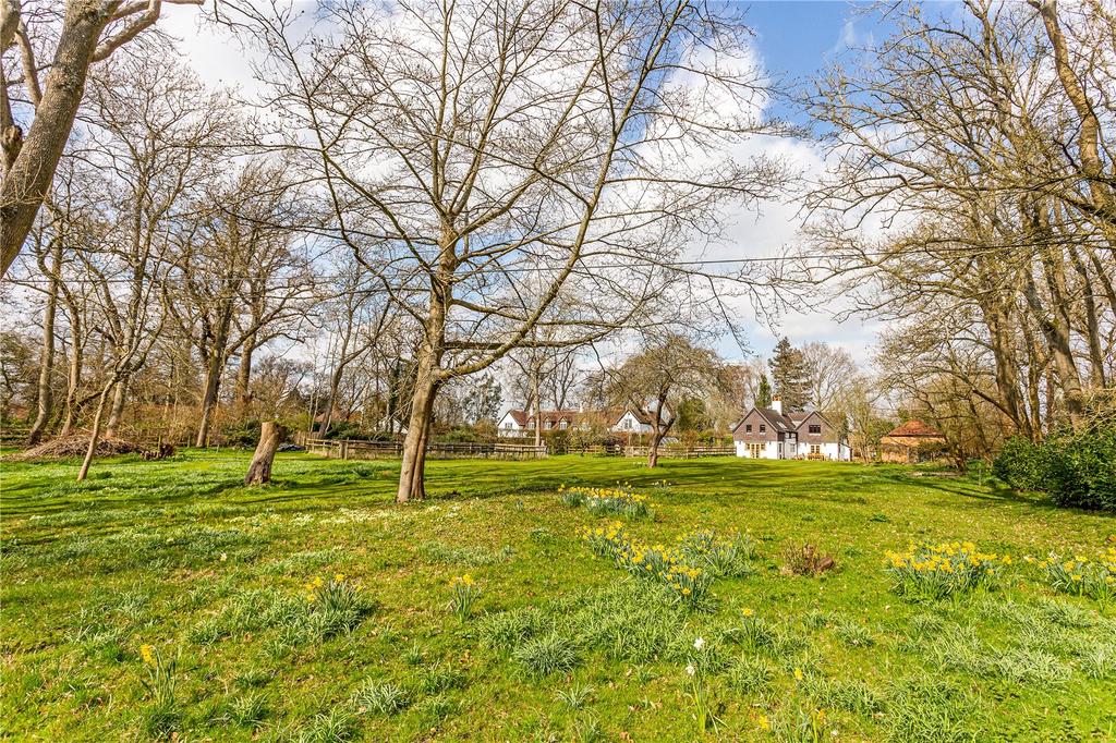 Garden Meadow