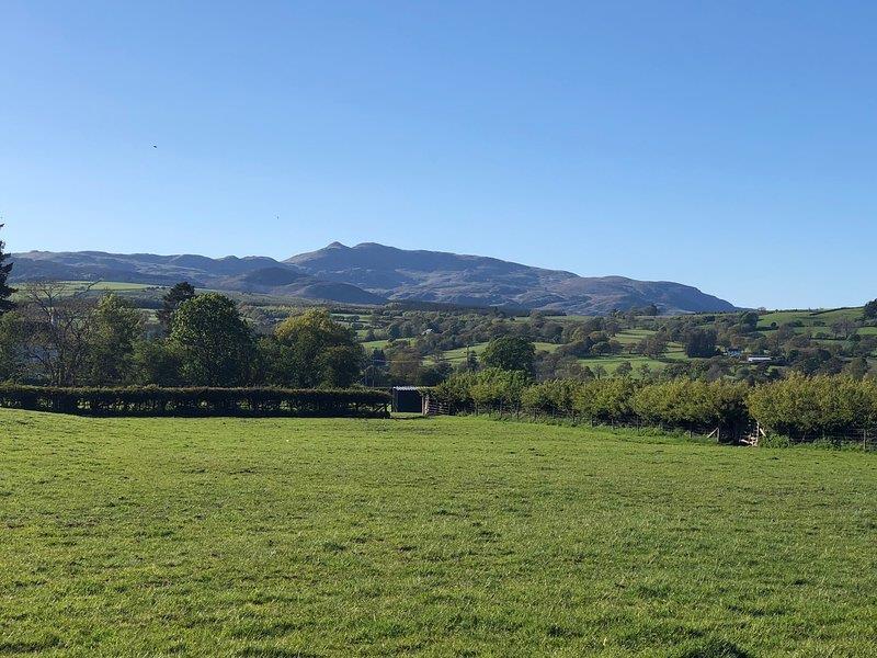 View of Arenig Mountain.jpg