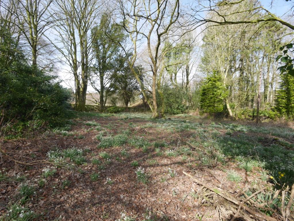 The Manse, Colvend, Dalbeattie, DG5 4 QN - Braidwoo