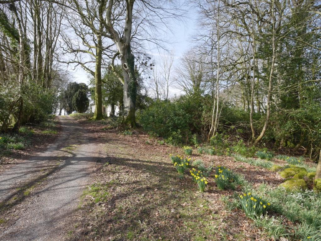 The Manse, Colvend, Dalbeattie, DG5 4 QN - Braidwoo