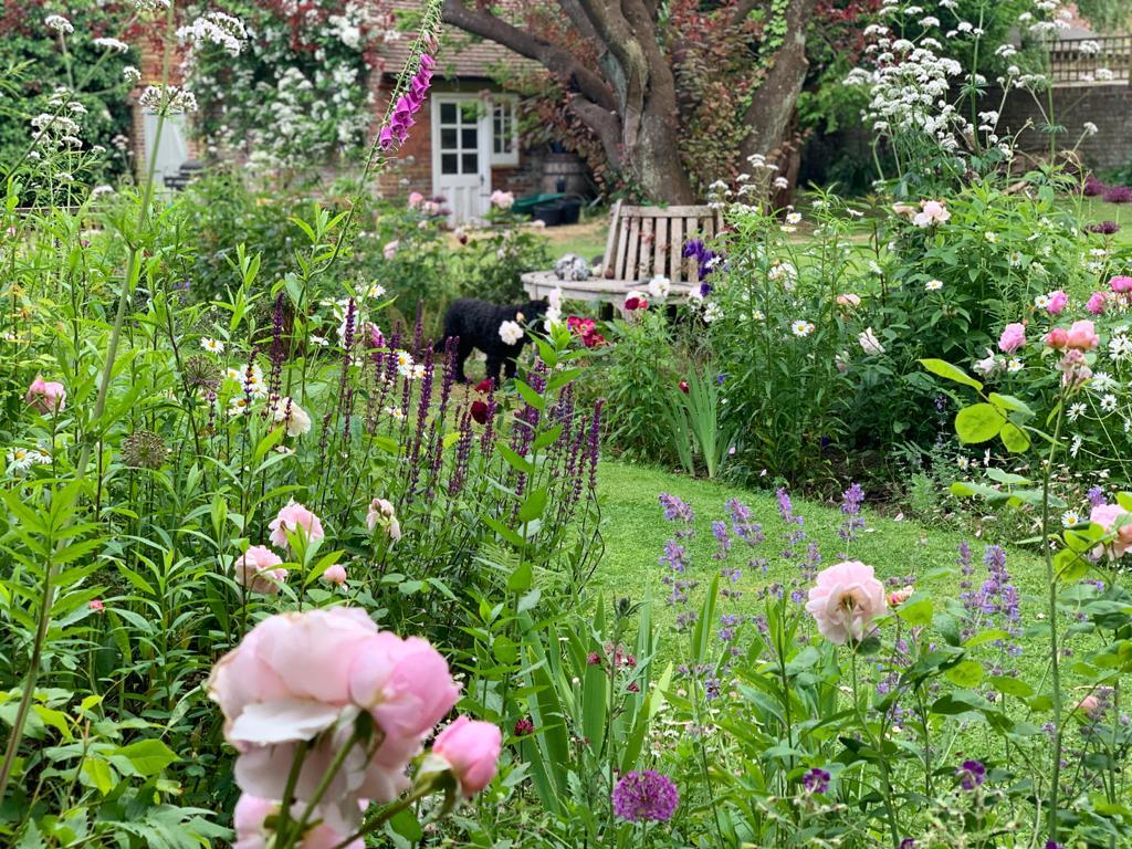 Garden Detail