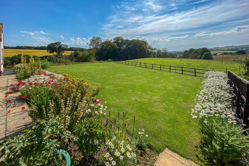 Garden Summer