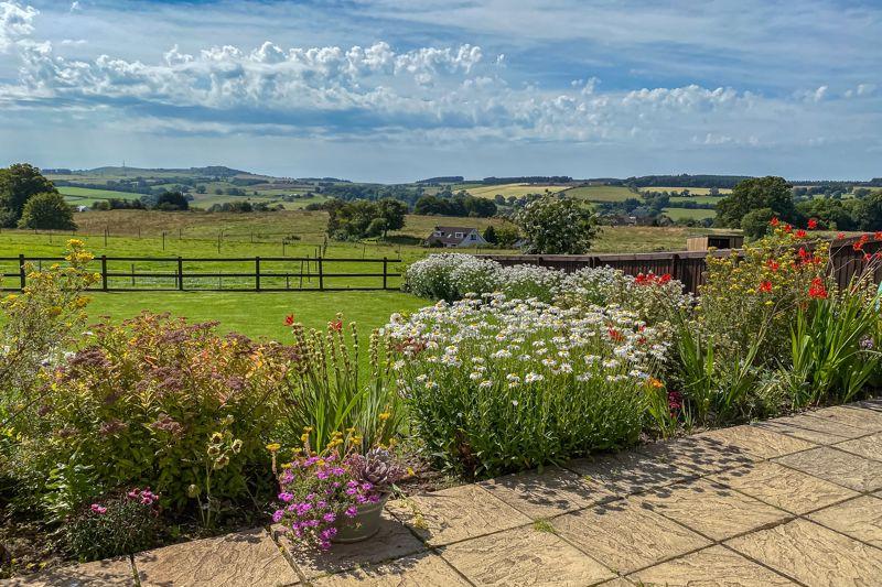 Terrace and View...