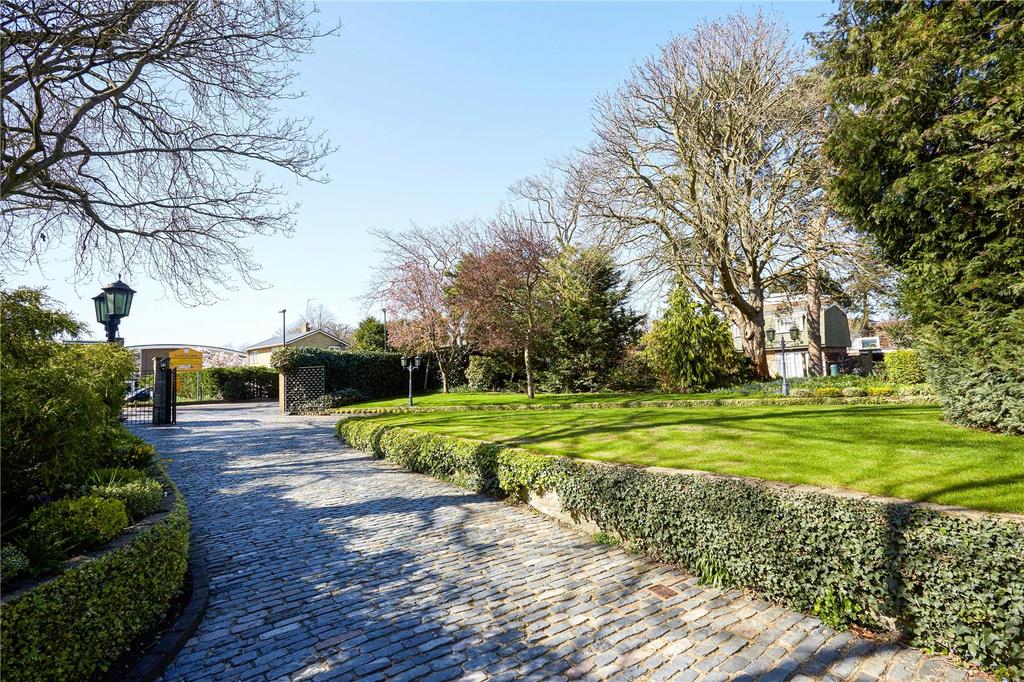 Driveway