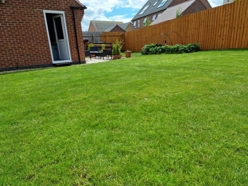 Garden.jpg