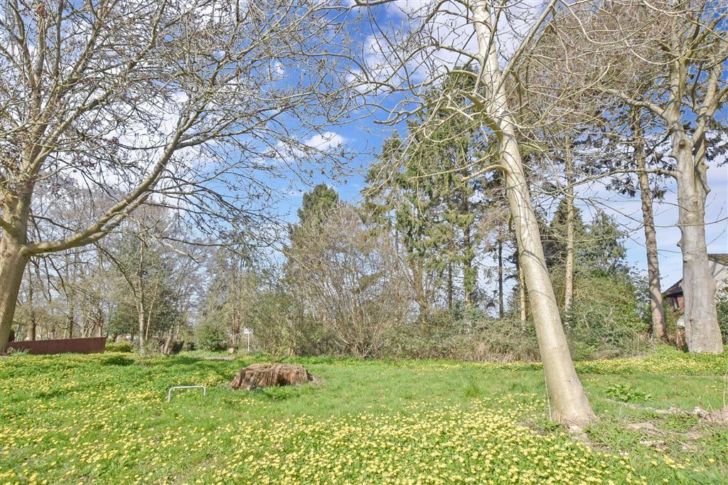 Surrounding Area