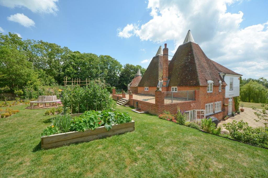Vegetable Plot