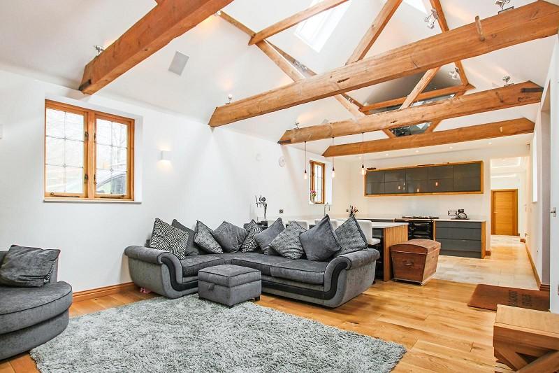 Kitchen/Living Room