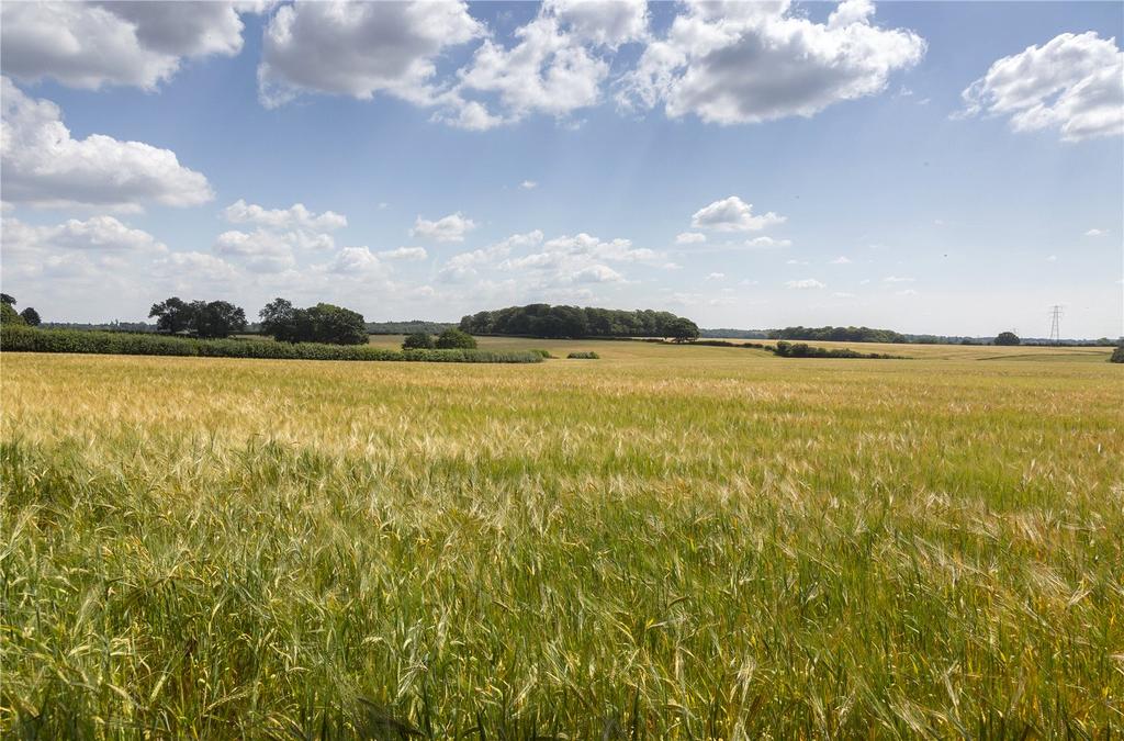 Farmland