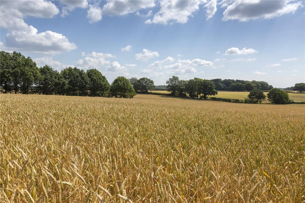 Farmland