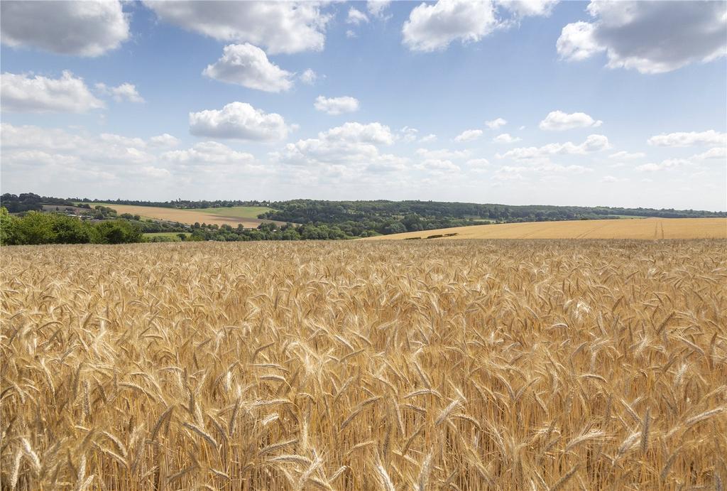 Farmland