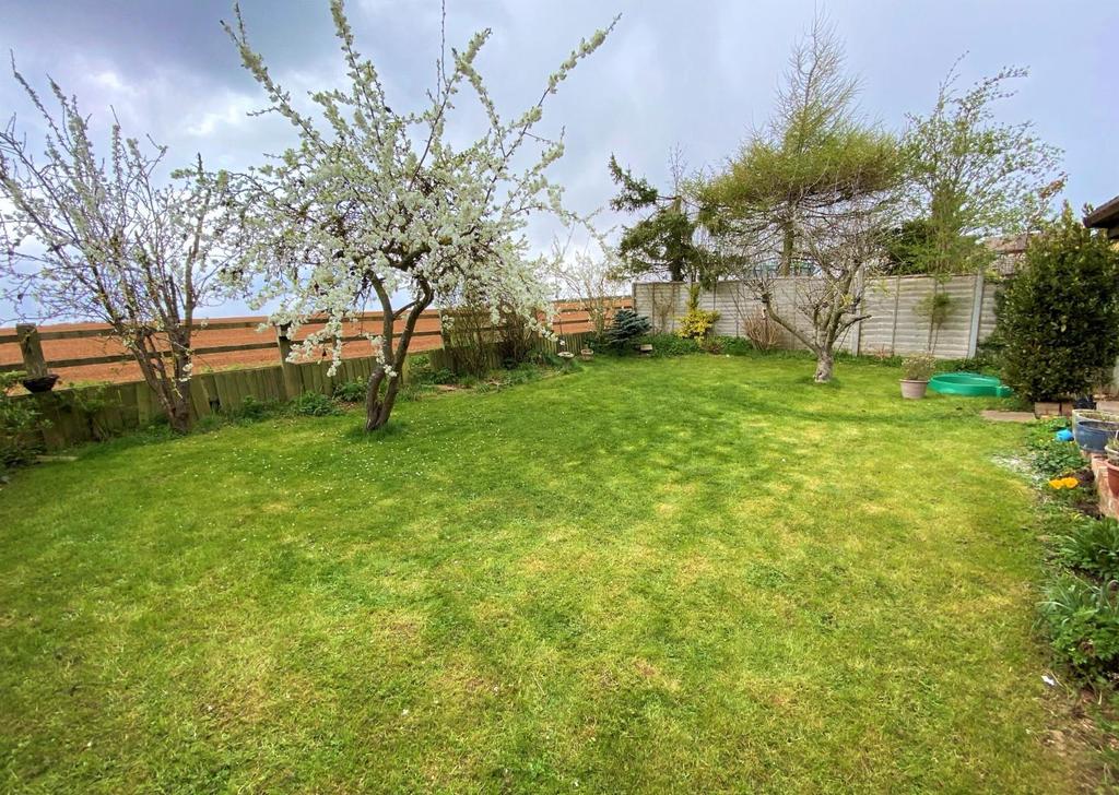 Garden.jpg