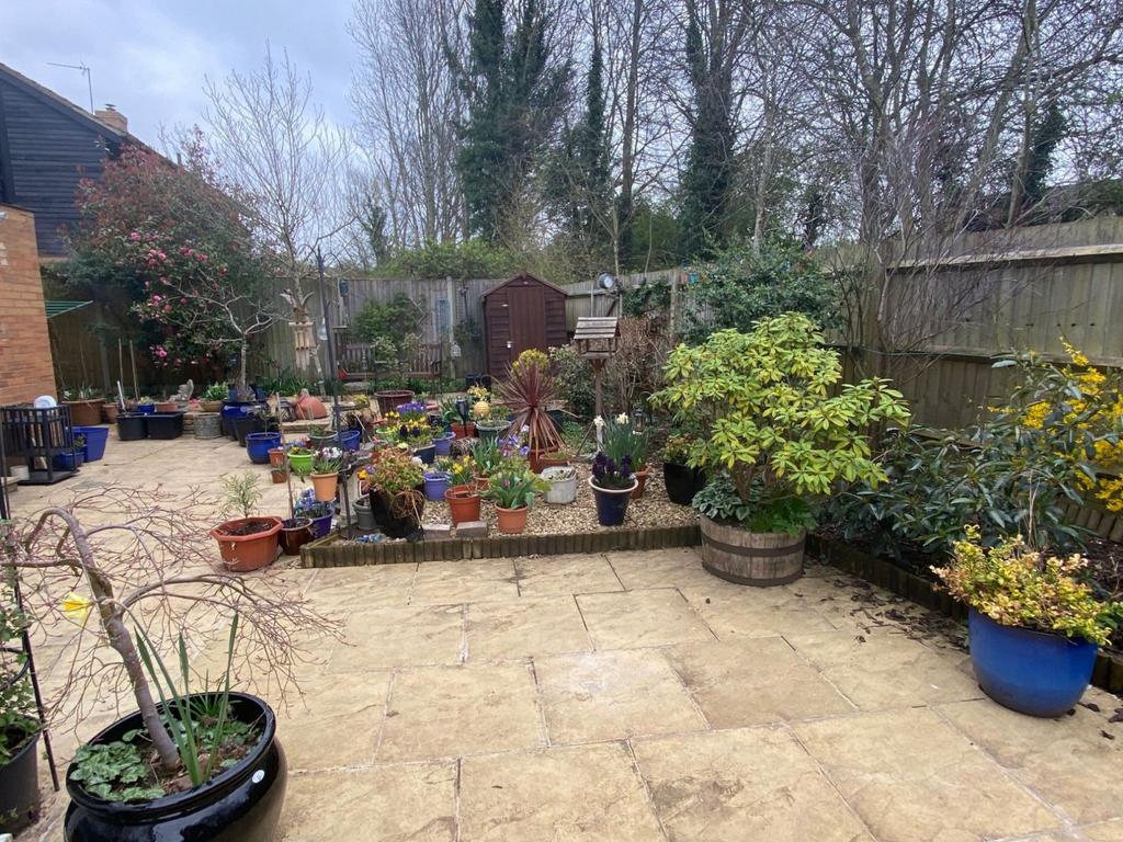 Rear garden