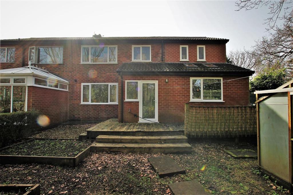 Rear Elevation