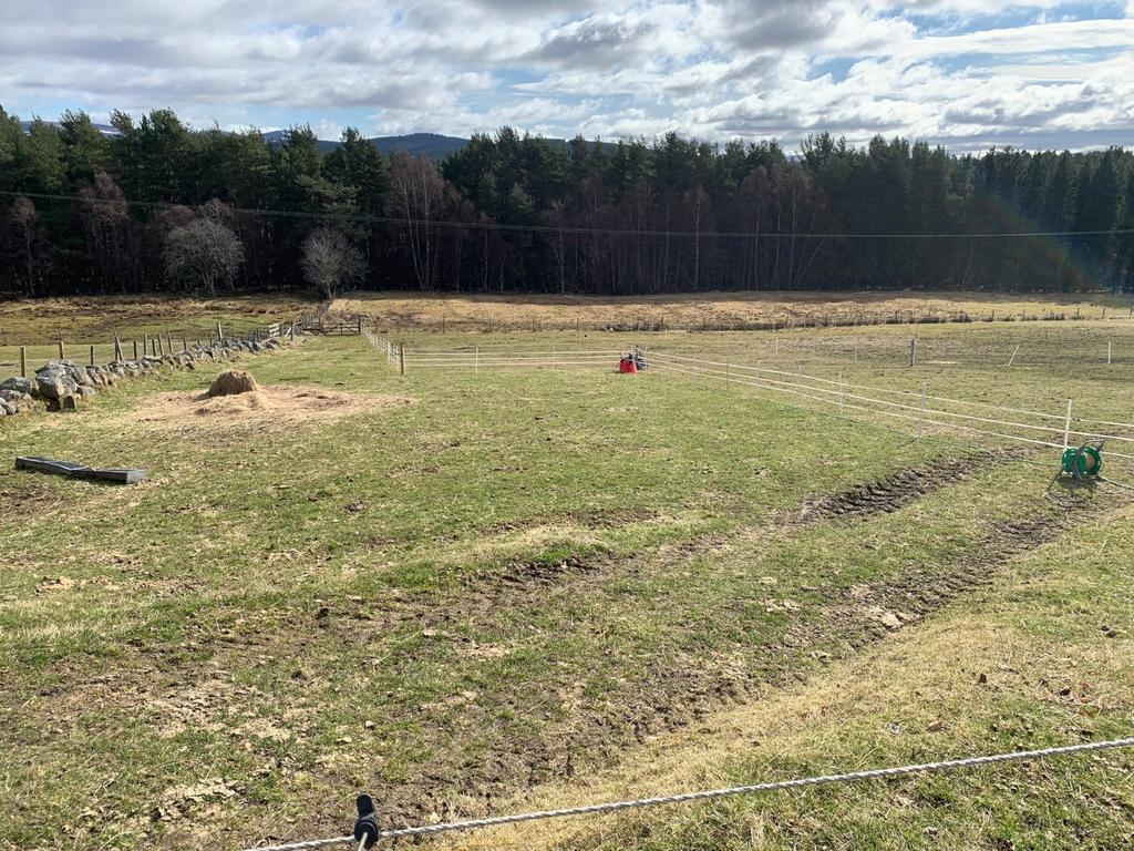Skye of Curr Road, Dulnain Bridge, GrantownonSpey Land £100,000
