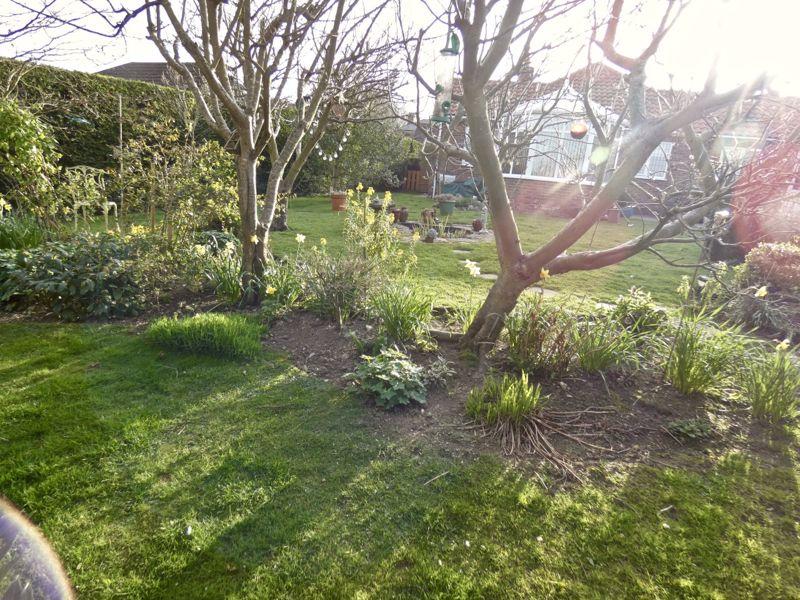 Garden (vendors...