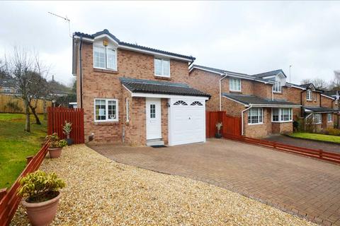 3 bedroom detached house for sale - Clove Mill Wynd, Larkhall