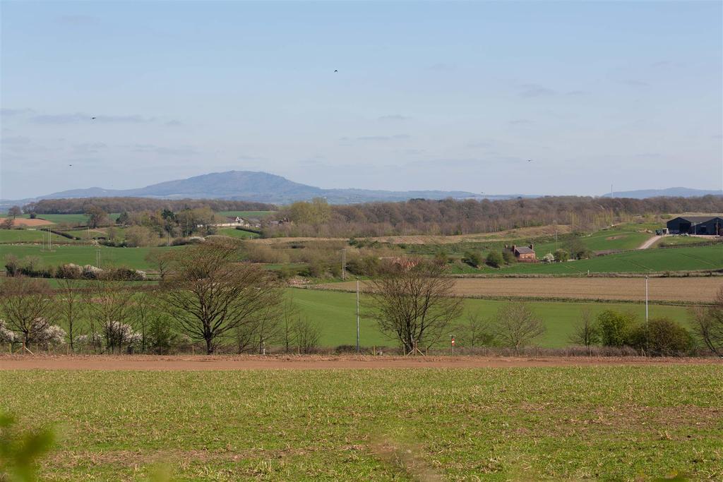 View 2.jpg